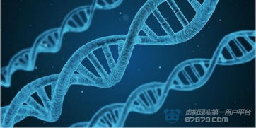 相機巨頭Red發布世界首款全息手機 未來AR或將把桌子變成電腦