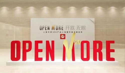 房產(chǎn)經(jīng)紀(jì)人真的能賺這么多錢么 能 真的能