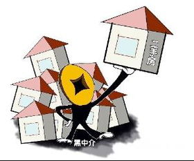 房地產(chǎn)經(jīng)紀(jì)